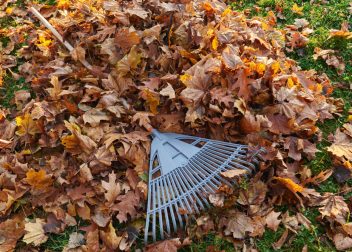 Why is Fall Clean Up Necessary?