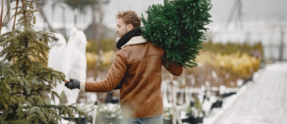 Top Reasons to Buy a Real Christmas Tree This Year
