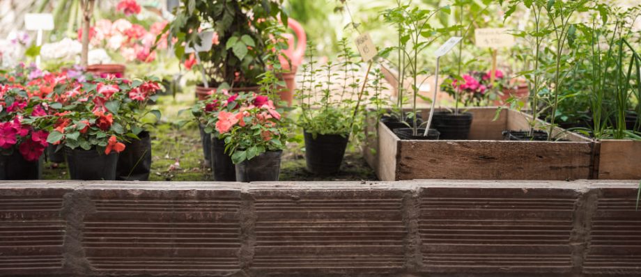 How to Build a Raised Garden Bed